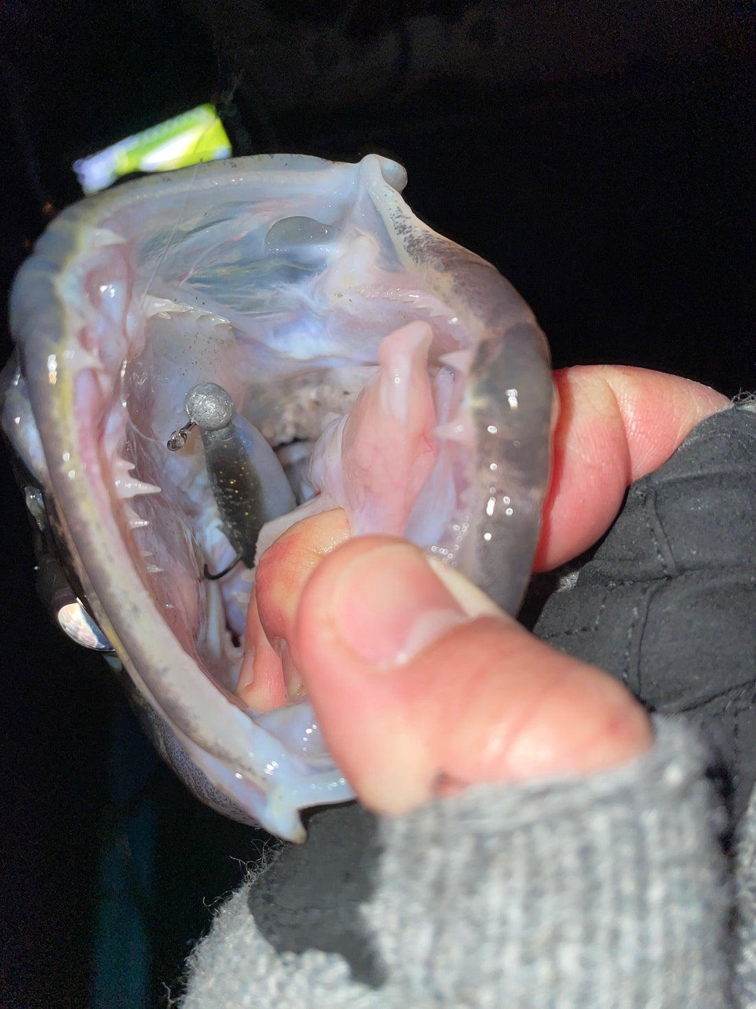 What Jig Head Weight Should You Use for Walleye Swimbaits?