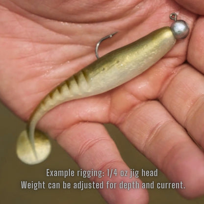 Fish Bum Tackle Raddletail Swimbait - 3.5